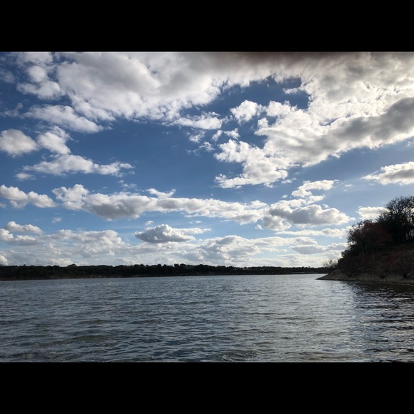 Meet your Posher, Penny - Picture 1 of 1